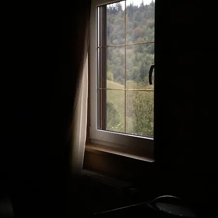 12 Місяців — Підгори Penzion Slavske